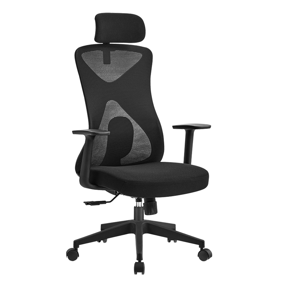 Silla de Oficina Ergonómica | Floe Pro EC737 | Negra