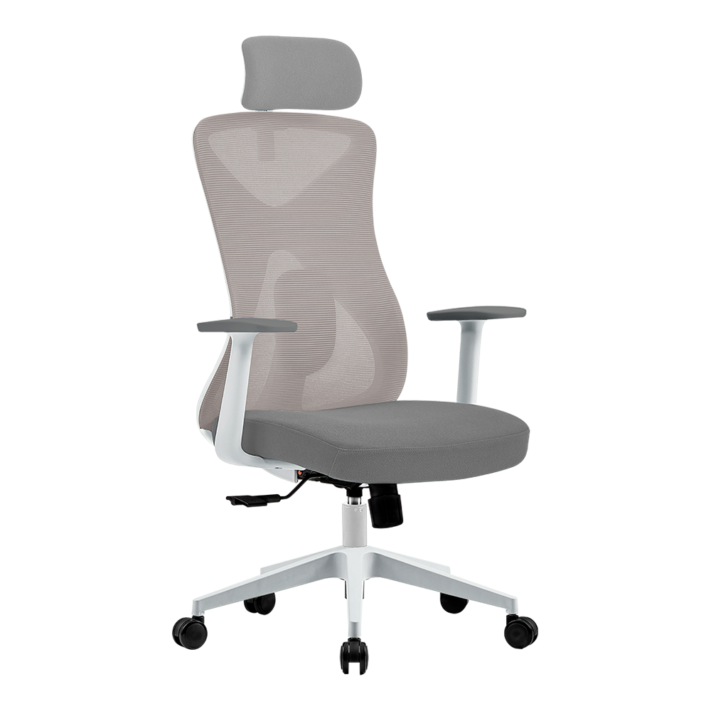 Silla de Oficina Ergonómica | Floe Pro EC737 | Blanca