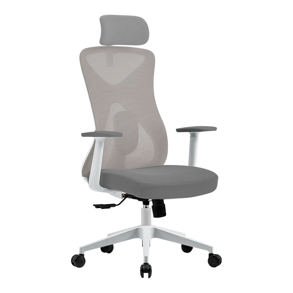 Silla de Oficina | Floe Pro EC737 | Ergonómica + Ajuste lumbar + Reposa brazos ajustable + Sistema de bloqueo / Soporta Hasta 120 Kg / Blanca