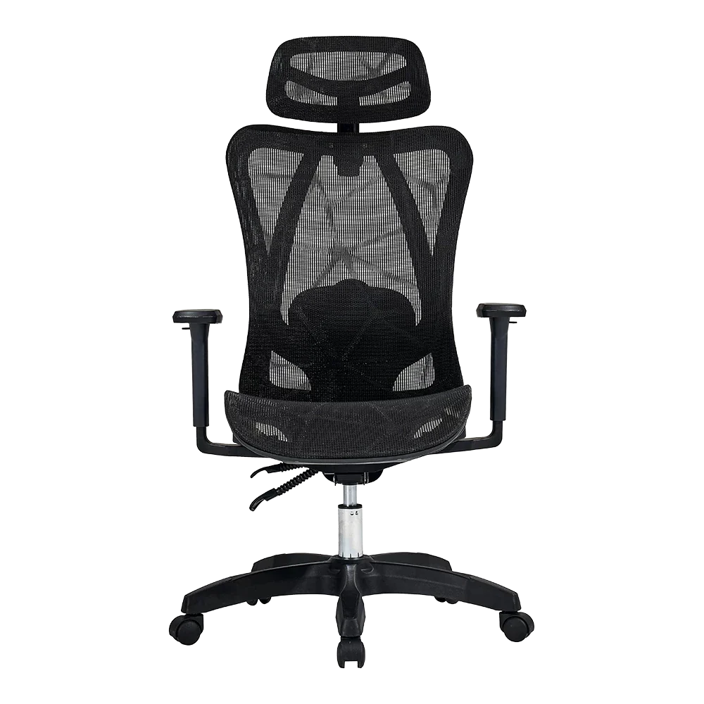 Silla de Oficina Ergonómica | Floe Plus EC727 | Negro