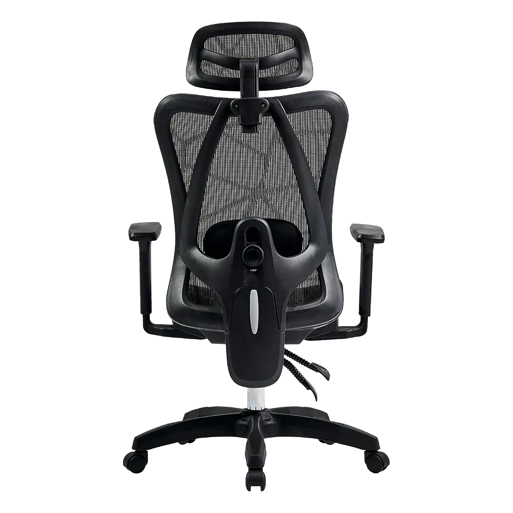 Silla de Oficina Ergonómica | Floe Plus EC727 | Negro