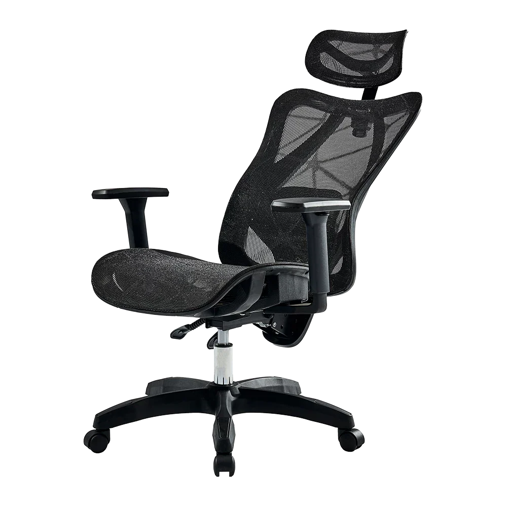 Silla de Oficina Ergonómica | Floe Plus EC727 | Negro