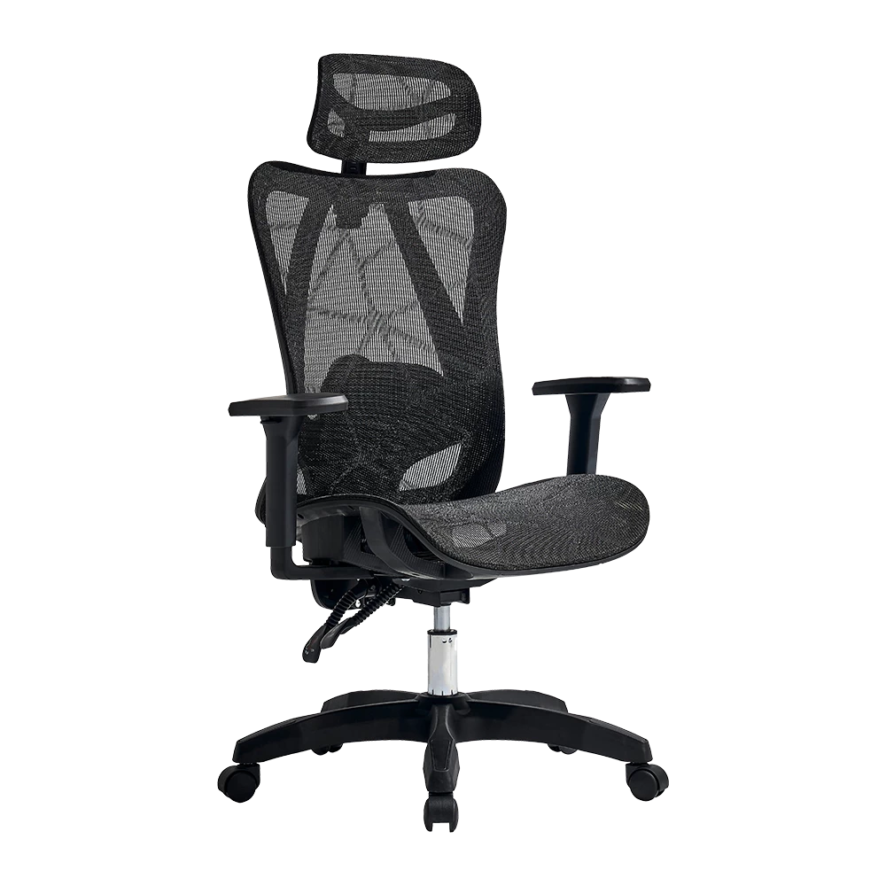 Silla de Oficina Ergonómica | Floe Plus EC727 | Malla + PP + Nylon | Pistón Clase 3 + Soporta hasta 120 Kg + Mecanismo Mecánico + 135° | Reposabrazos 3D | Elite | Negro