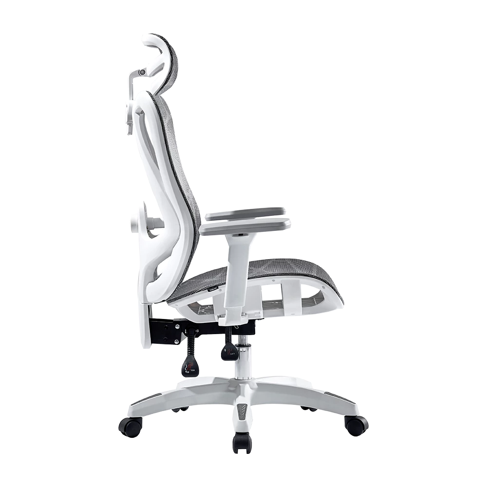 Silla de Oficina Ergonómica | Floe Plus EC727 | Malla + PP + Nylon | Pistón Clase 3 + Soporta hasta 120 Kg + Mecanismo Mecánico + 135° | Reposabrazos 3D | Elite | Blanco